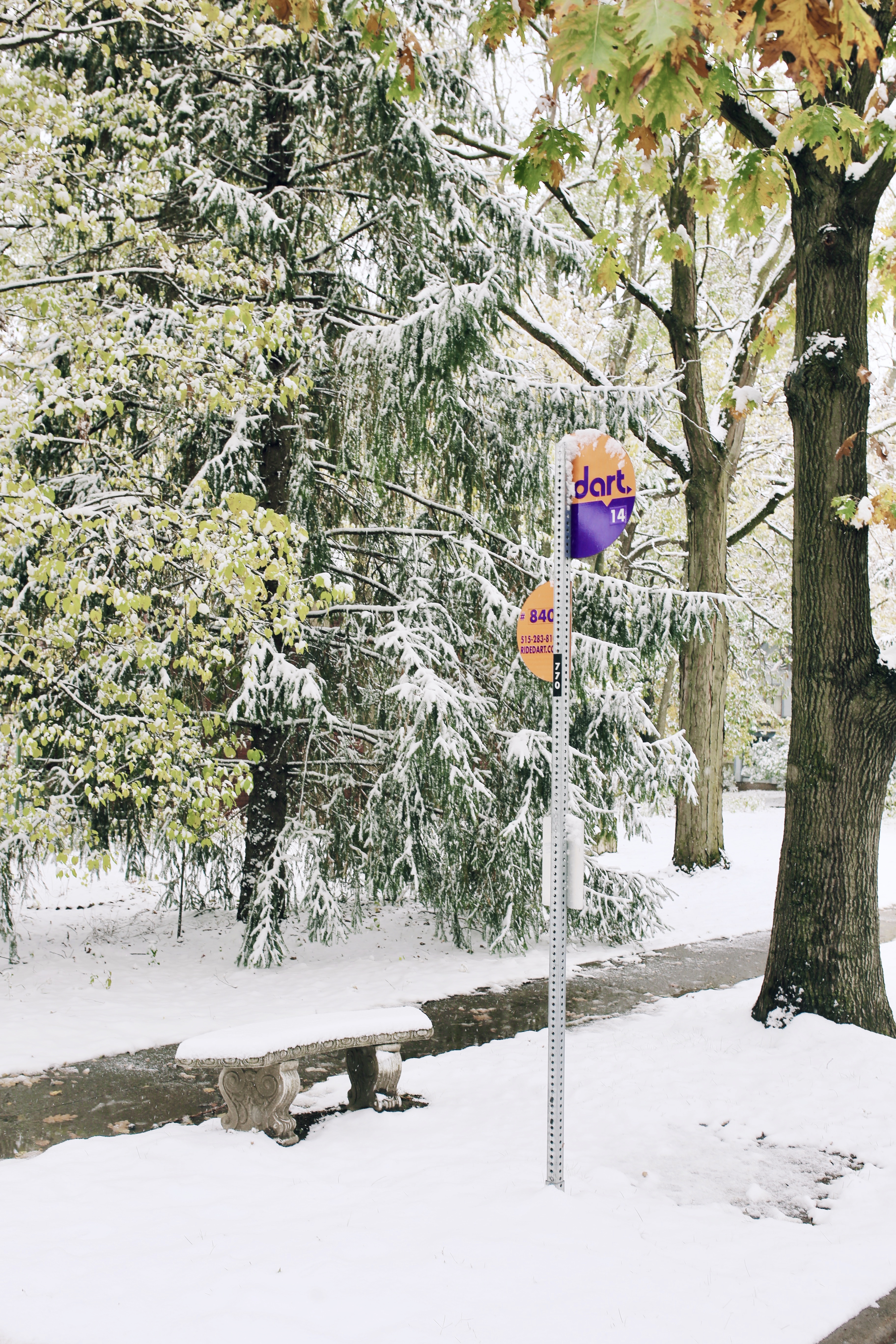 Bus Stop in Snow