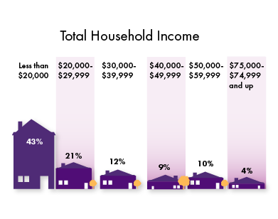 Graph showing various household incomes of DART riders. 43 percent of households make twenty thousand or less